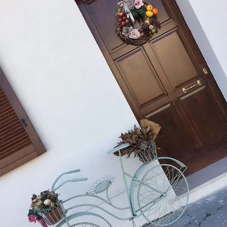 Angela Via Della Bonifica 17