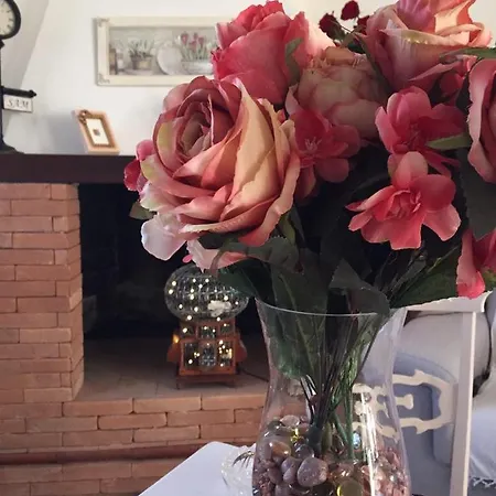 Angela Via Della Bonifica 17 Villareia